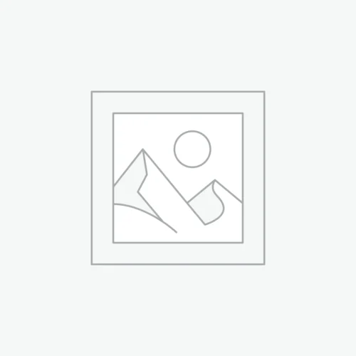 woocommerce-placeholder Yellow Tower Crystal & Citrine Pixiu Bracelet